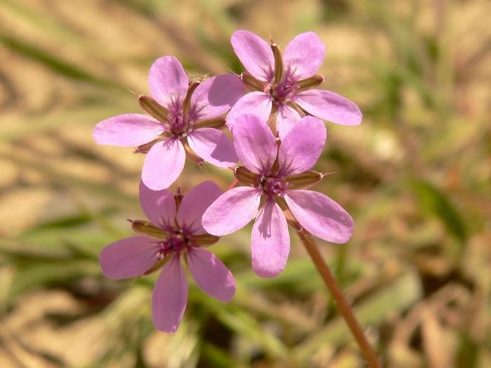 416944_314767991961116_1116337656_n