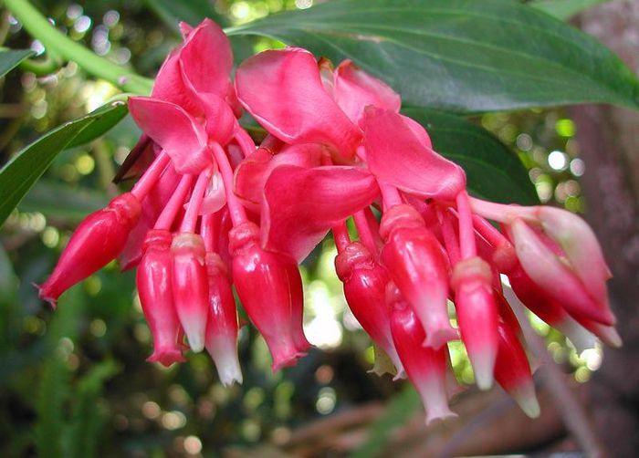 484778_325801387524443_669901518_n