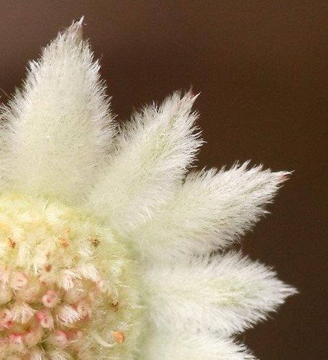 533648_359320734172508_848491910_n