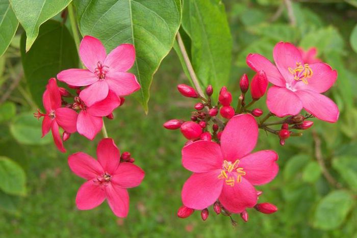 537531_310080875763161_2055937444_n