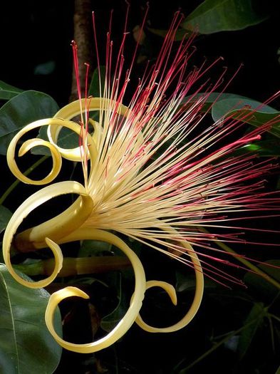 542578_347550122016236_1710665909_n