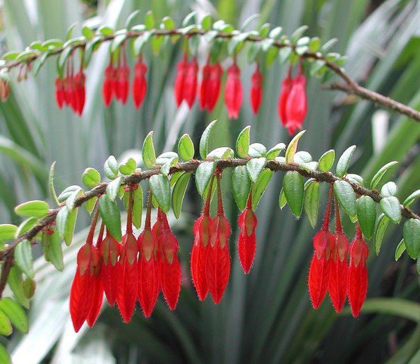 543766_325249354246313_1167127551_n