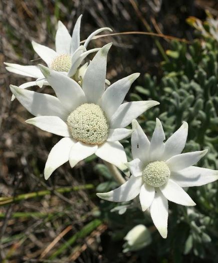 543872_357416131029635_1316160247_n