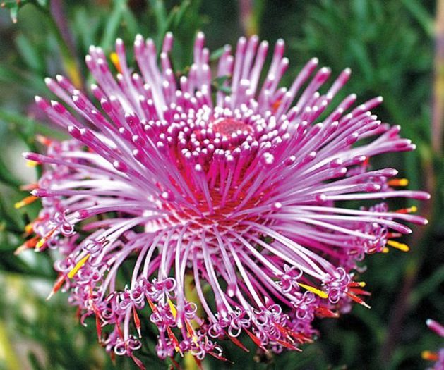 554729_364484743656107_889781703_n