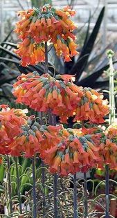 1000438_384231755014739_630463399_n