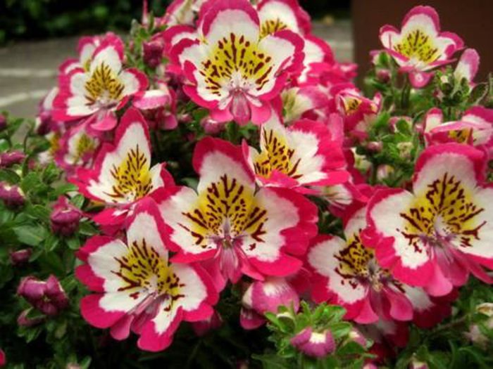 1011313_391656844272230_1958949371_n