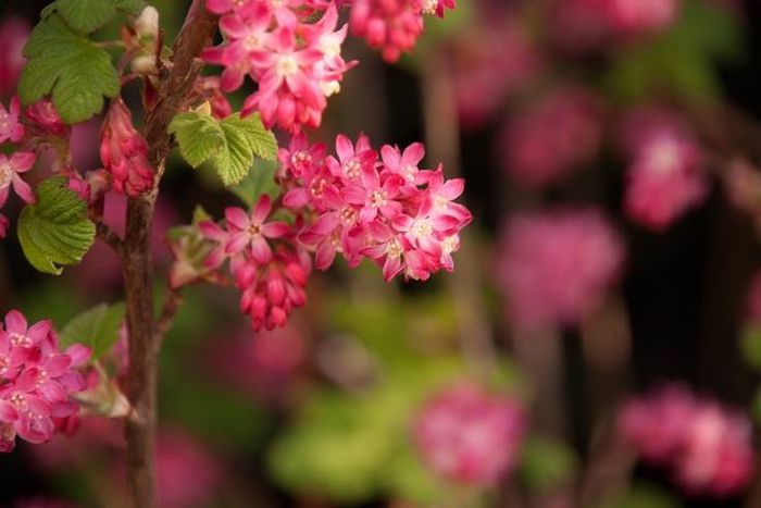 1233481_415630161874898_903654320_n