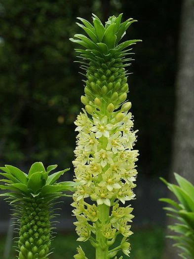 1459180_446274905477090_1297949607_n