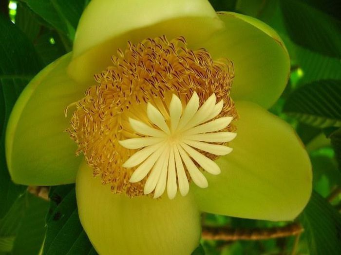 1459274_448780625226518_849557266_n