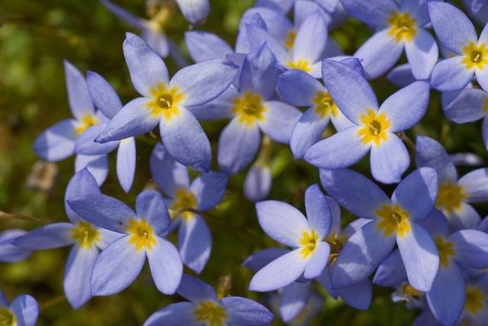 1466315_444041689033745_235707629_n