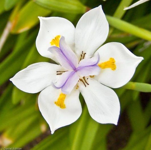 1503845_468511519920095_1906170328_n