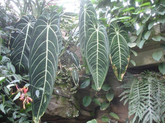 1510774_471838296254084_2059393466_n