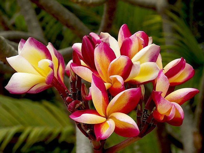 1510822_471204419650805_988557550_n