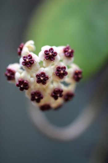 1555289_467866669984580_358405829_n