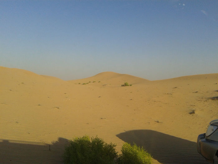 abu dhabi 1599 - safari   Abu Dhabi