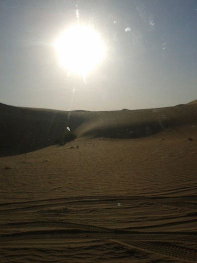 abu dhabi 1600 - safari   Abu Dhabi