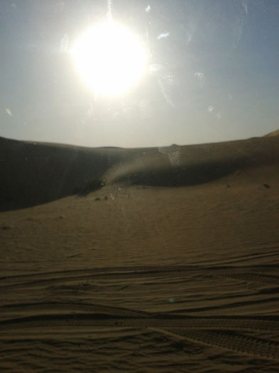 abu dhabi 1603 - safari   Abu Dhabi