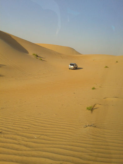 abu dhabi 1606 - safari   Abu Dhabi