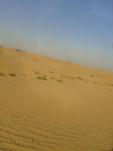 abu dhabi 1608 - safari   Abu Dhabi