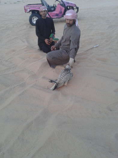 abu dhabi 1738 - safari   Abu Dhabi