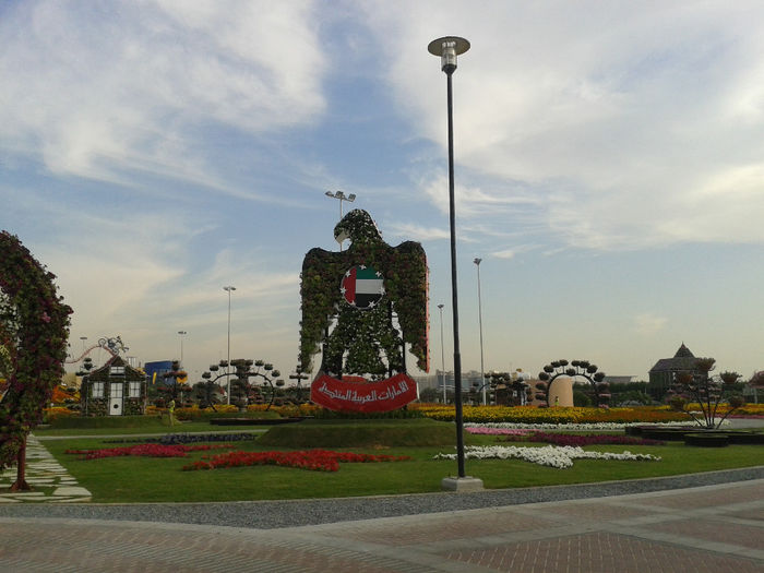 abu dhabi 998 - Miracle Garden   Dubai