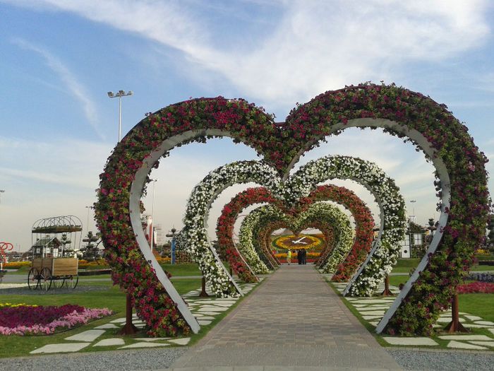 abu dhabi 1000 - Miracle Garden   Dubai