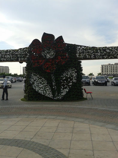 abu dhabi 1001 - Miracle Garden   Dubai