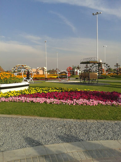 abu dhabi 1003 - Miracle Garden   Dubai