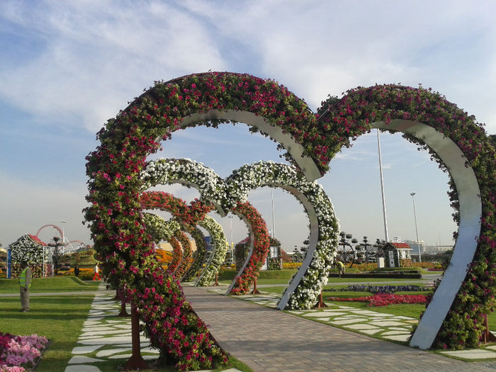 abu dhabi 1004 - Miracle Garden   Dubai