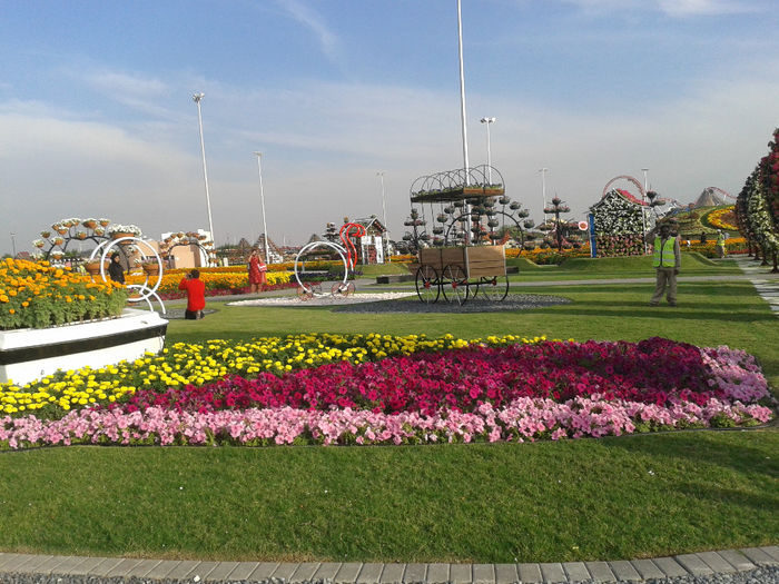 abu dhabi 1005 - Miracle Garden   Dubai