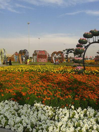 abu dhabi 1007 - Miracle Garden   Dubai