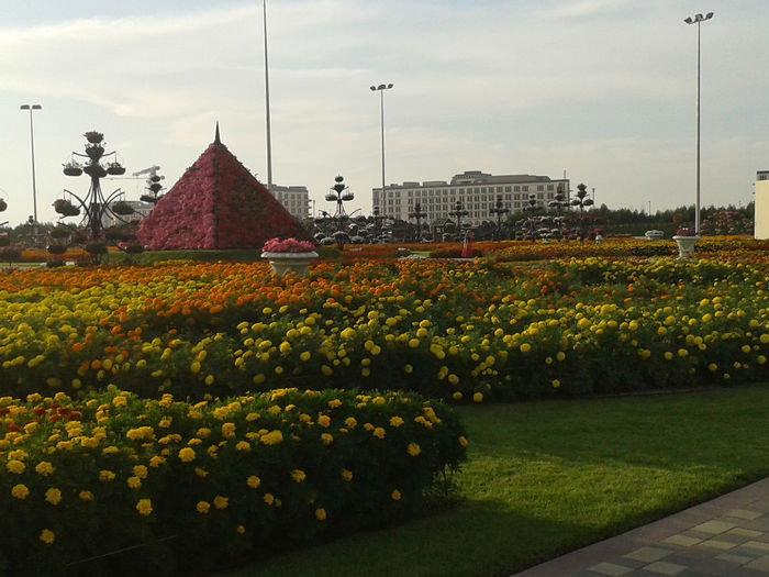 abu dhabi 1071 - Miracle Garden   Dubai