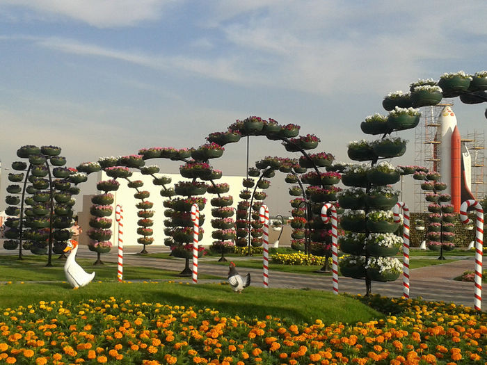 abu dhabi 1073 - Miracle Garden   Dubai