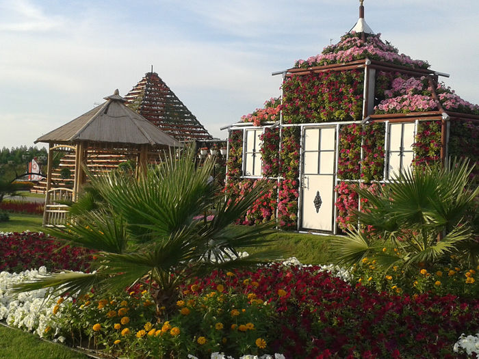 abu dhabi 1082 - Miracle Garden   Dubai