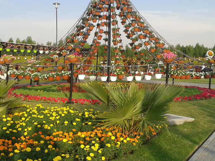 abu dhabi 1084 - Miracle Garden   Dubai