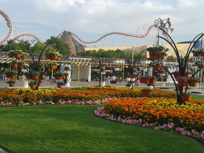abu dhabi 1108