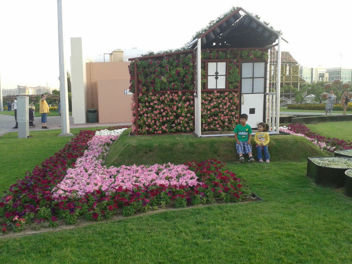 abu dhabi 1139 - Miracle Garden   Dubai
