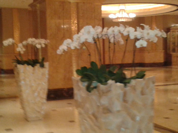 abu dhabi 865 - Emirates Palace