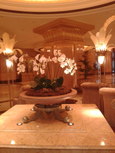 abu dhabi 870 - Emirates Palace