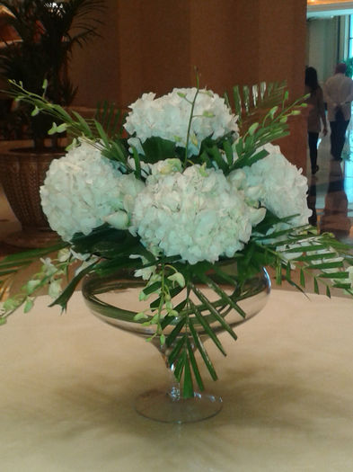 abu dhabi 885 - Emirates Palace