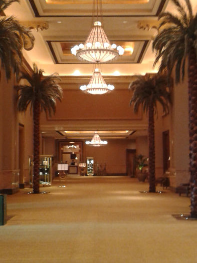 abu dhabi 886 - Emirates Palace