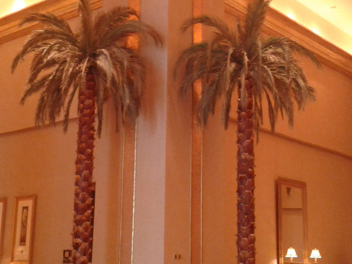 abu dhabi 887 - Emirates Palace