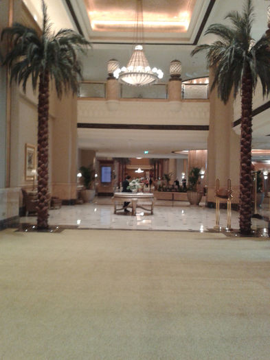 abu dhabi 891 - Emirates Palace