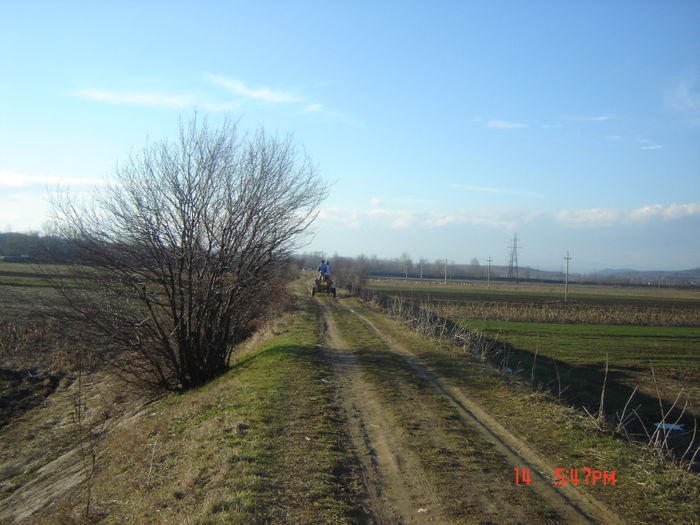 20; unii nu stiu,ca nu trbuie sa circule cu atelajele sau cu masinile pe diguri.
