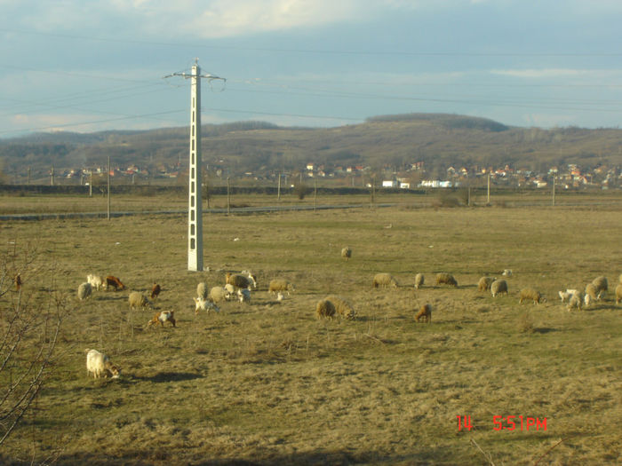 Romania rurala - natura