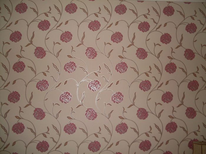 SDC12071 - OCUPATIA MEA FINISOR INT EXT