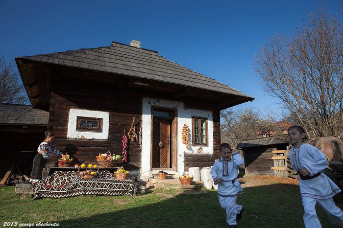 1403415_603100483084909_991593403_o