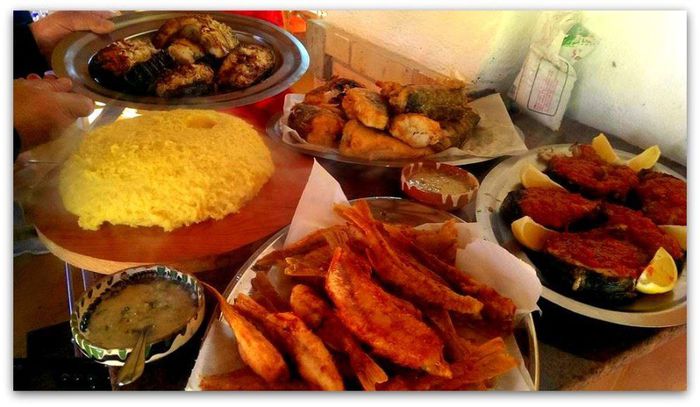 1412605_609799575748333_1724839068_o