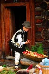 1476382_610211882373769_1763870448_n