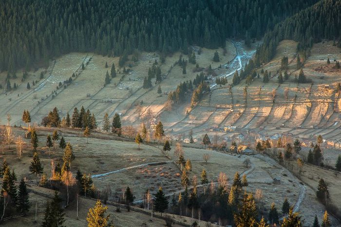 1483837_636030113125279_460825202_o